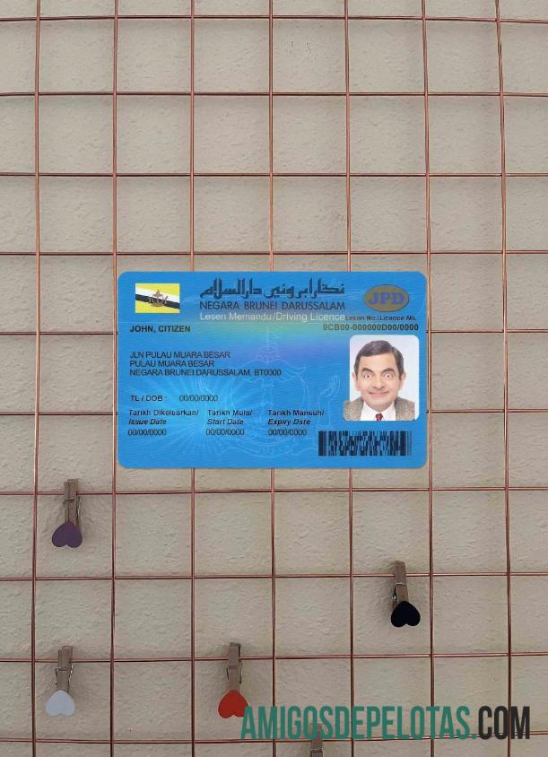 Carteira de motorista de Brunei fotolook frente baixar para verificação